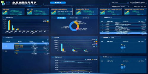 水發(fā)集團(tuán)自主研發(fā)數(shù)據(jù)分析系統(tǒng)獲軟件著作權(quán)證書，引領(lǐng)行業(yè)數(shù)字化轉(zhuǎn)型新篇章